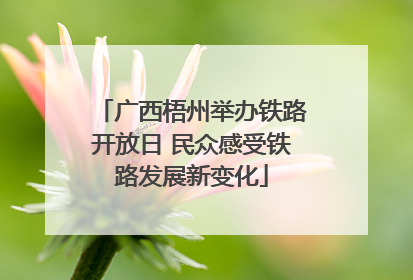 广西梧州举办铁路开放日 民众感受铁路发展新变化