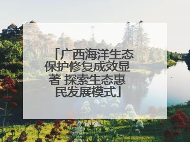 广西海洋生态保护修复成效显著 探索生态惠民发展模式