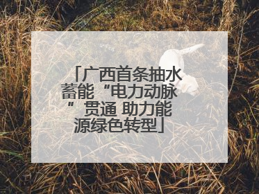 广西首条抽水蓄能“电力动脉”贯通 助力能源绿色转型