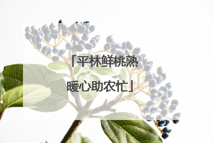 平林鲜桃熟 暖心助农忙
