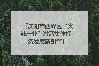 庆阳市西峰区“火辣产业”激活集体经济发展新引擎