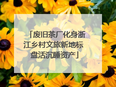 废旧茶厂化身浙江乡村文旅新地标 盘活沉睡资产