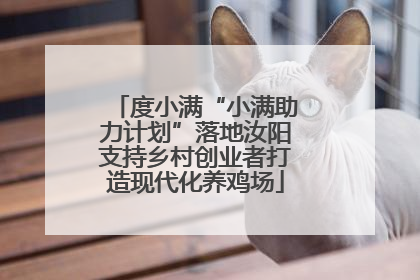 度小满“小满助力计划”落地汝阳支持乡村创业者打造现代化养鸡场