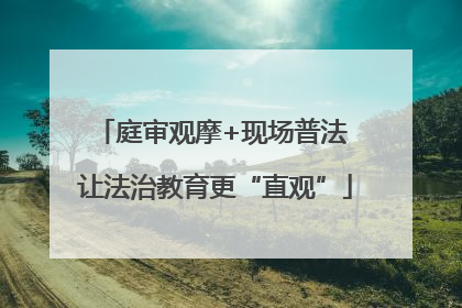 庭审观摩+现场普法 让法治教育更“直观”