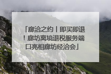 廊洽之约丨即买即退！廊坊离境退税服务端口亮相廊坊经洽会