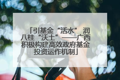 引基金“活水” 润八桂“沃土”——广西积极构建高效政府基金投资运作机制
