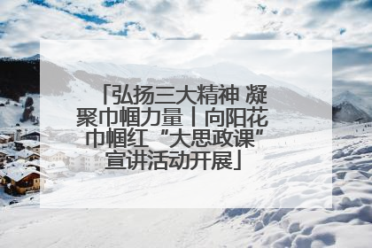 弘扬三大精神 凝聚巾帼力量丨向阳花巾帼红“大思政课”宣讲活动开展