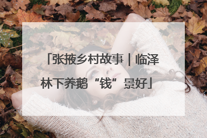 张掖乡村故事｜临泽林下养鹅“钱”景好