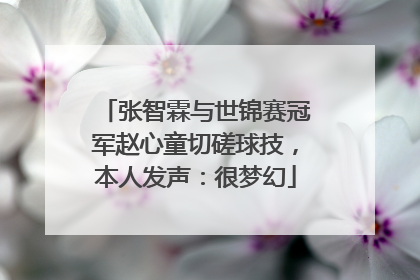 张智霖与世锦赛冠军赵心童切磋球技，本人发声：很梦幻