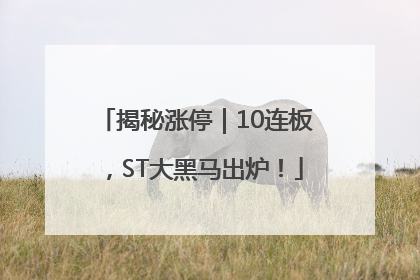 揭秘涨停｜10连板，ST大黑马出炉！