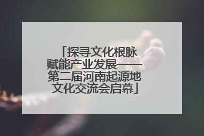 探寻文化根脉 赋能产业发展——第二届河南起源地文化交流会启幕