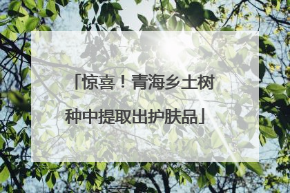 惊喜！青海乡土树种中提取出护肤品