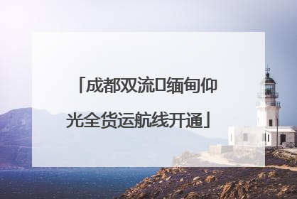 成都双流⇌缅甸仰光全货运航线开通
