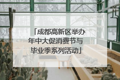 成都高新区举办年中大促消费节与毕业季系列活动