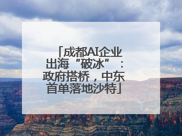 成都AI企业出海“破冰”：政府搭桥，中东首单落地沙特