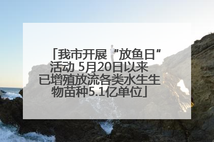 我市开展“放鱼日”活动 5月20日以来已增殖放流各类水生生物苗种5.1亿单位