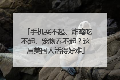 手机买不起、炸鸡吃不起、宠物养不起？这届美国人活得好难