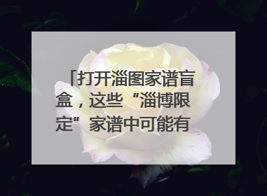 打开淄图家谱盲盒，这些“淄博限定”家谱中可能有你的隐藏身份
