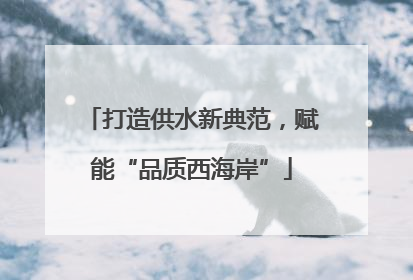 打造供水新典范，赋能“品质西海岸”