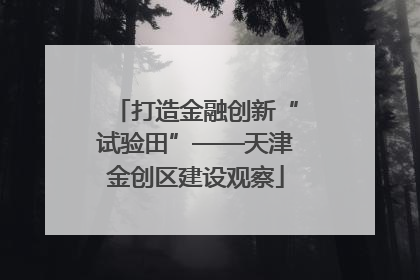 打造金融创新“试验田”——天津金创区建设观察