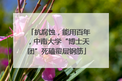 抗腐蚀，能用百年，中南大学“博士天团”死磕覆层钢筋