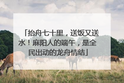 抬舟七十里，送饭又送水！麻阳人的端午，是全民出动的龙舟情结