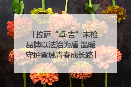 拉萨“卓·吉”未检品牌以法治为盾 温暖守护雪域青春成长路