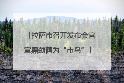 拉萨市召开发布会官宣黑颈鹤为“市鸟”