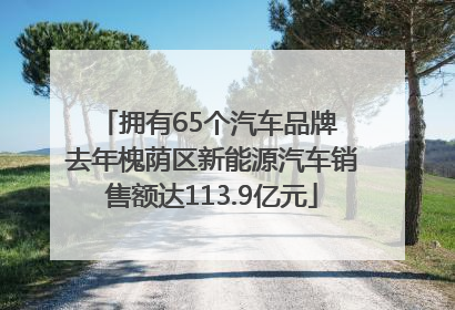 拥有65个汽车品牌 去年槐荫区新能源汽车销售额达113.9亿元