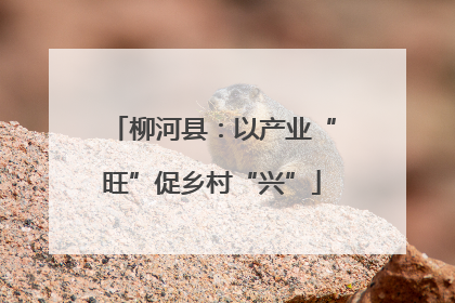柳河县：以产业“旺”促乡村“兴”