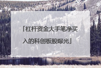 杠杆资金大手笔净买入的科创板股曝光