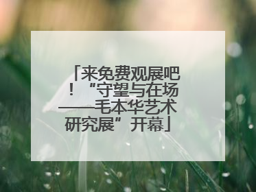 来免费观展吧！“守望与在场——毛本华艺术研究展”开幕
