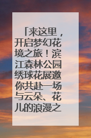 来这里，开启梦幻花境之旅！滨江森林公园绣球花展邀你共赴一场与云朵、花儿的浪漫之约