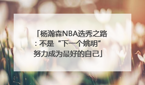 杨瀚森NBA选秀之路：不是“下一个姚明” 努力成为最好的自己