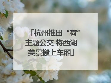 杭州推出“荷”主题公交 将西湖美景搬上车厢