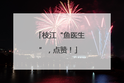 枝江“鱼医生”，点赞！