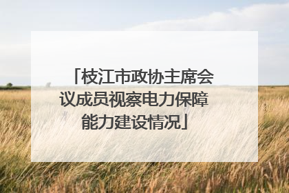 枝江市政协主席会议成员视察电力保障能力建设情况