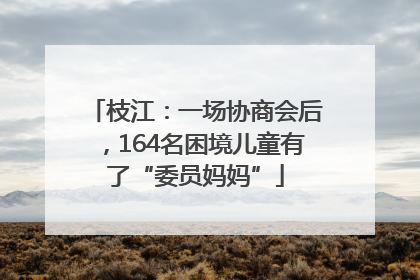 枝江：一场协商会后，164名困境儿童有了“委员妈妈”