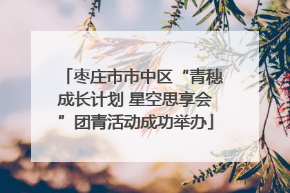 枣庄市市中区“青穗成长计划 星空思享会”团青活动成功举办