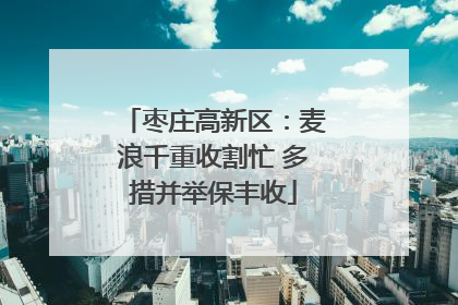 枣庄高新区：麦浪千重收割忙 多措并举保丰收
