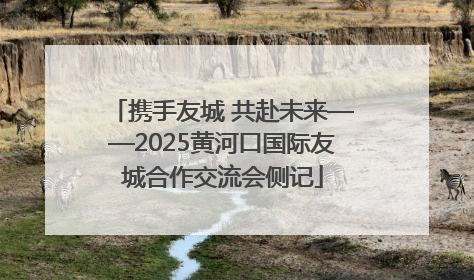 携手友城 共赴未来——2025黄河口国际友城合作交流会侧记