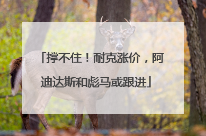 撑不住！耐克涨价，阿迪达斯和彪马或跟进
