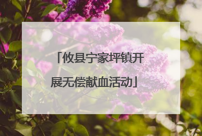 攸县宁家坪镇开展无偿献血活动