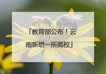 教育部公布！云南新增一所高校