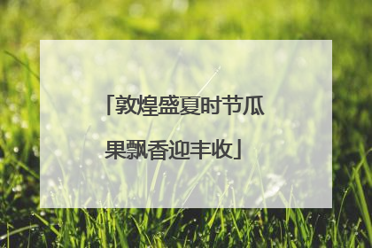 敦煌盛夏时节瓜果飘香迎丰收