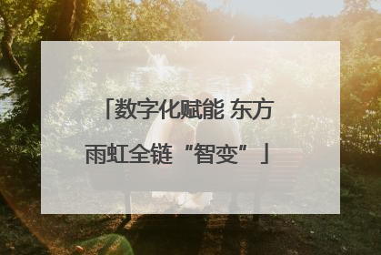 数字化赋能 东方雨虹全链“智变”