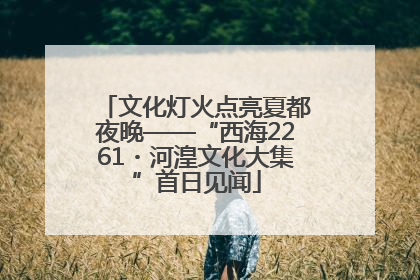 文化灯火点亮夏都夜晚——“西海2261・河湟文化大集”首日见闻