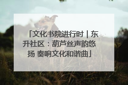 文化书院进行时｜东升社区：葫芦丝声韵悠扬 奏响文化和谐曲