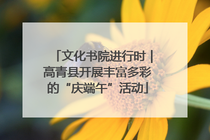 文化书院进行时｜高青县开展丰富多彩的“庆端午”活动
