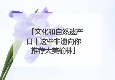 文化和自然遗产日｜这些非遗向你推荐大美榆林